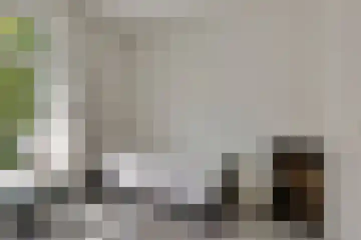 Oosterheerdtstraat 18 Leek thumbnail 16