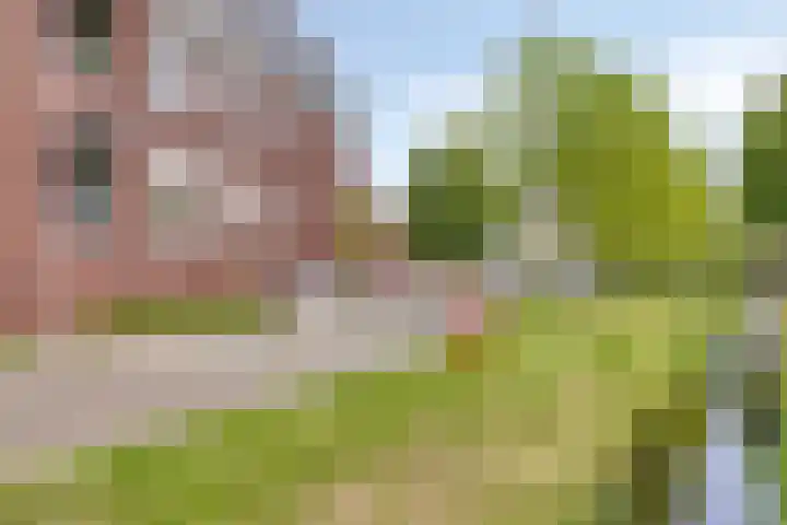 Oosterheerdtstraat 18 Leek thumbnail 26