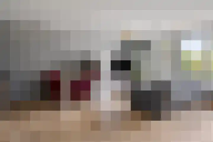 Oosterheidestraat 23 Odiliapeel thumbnail 41