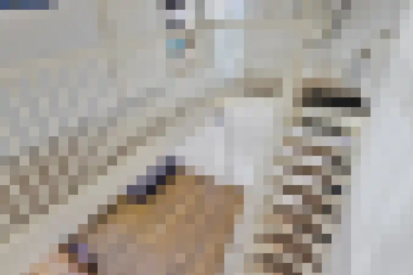 Oosterhesselenstraat 325 Den Haag thumbnail 21
