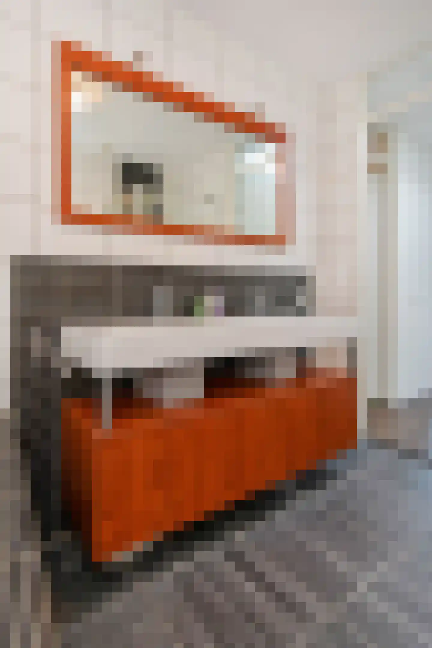 Oosterhesselenstraat 590 Den Haag thumbnail 21