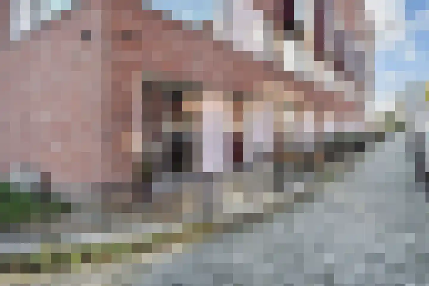 Oosterhesselenstraat 590 Den Haag thumbnail 36