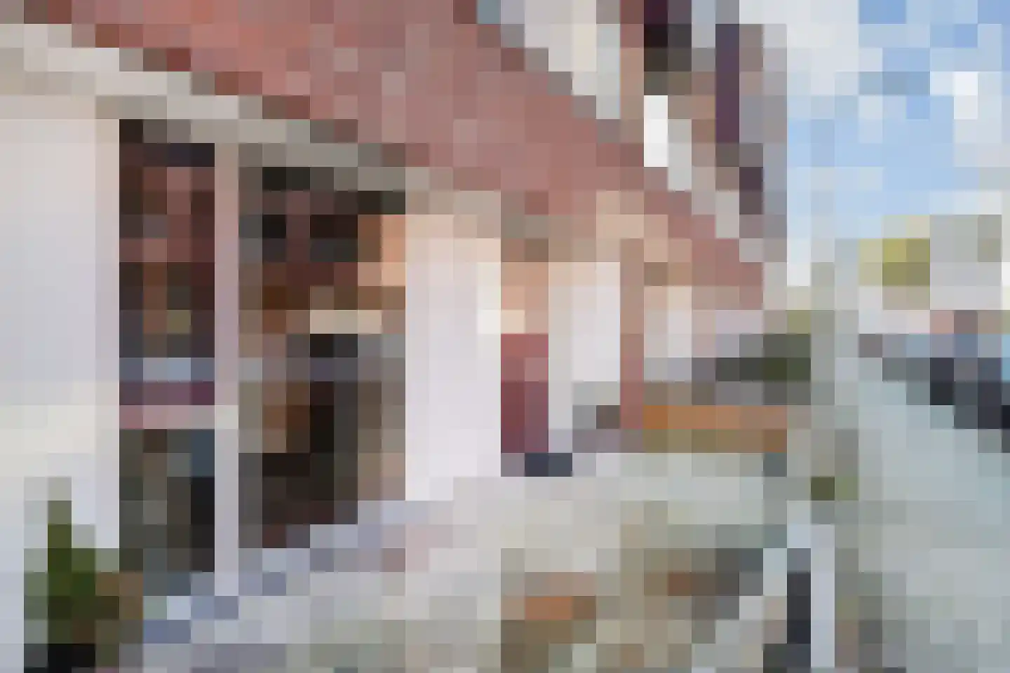 Oosterhesselenstraat 590 Den Haag thumbnail 37