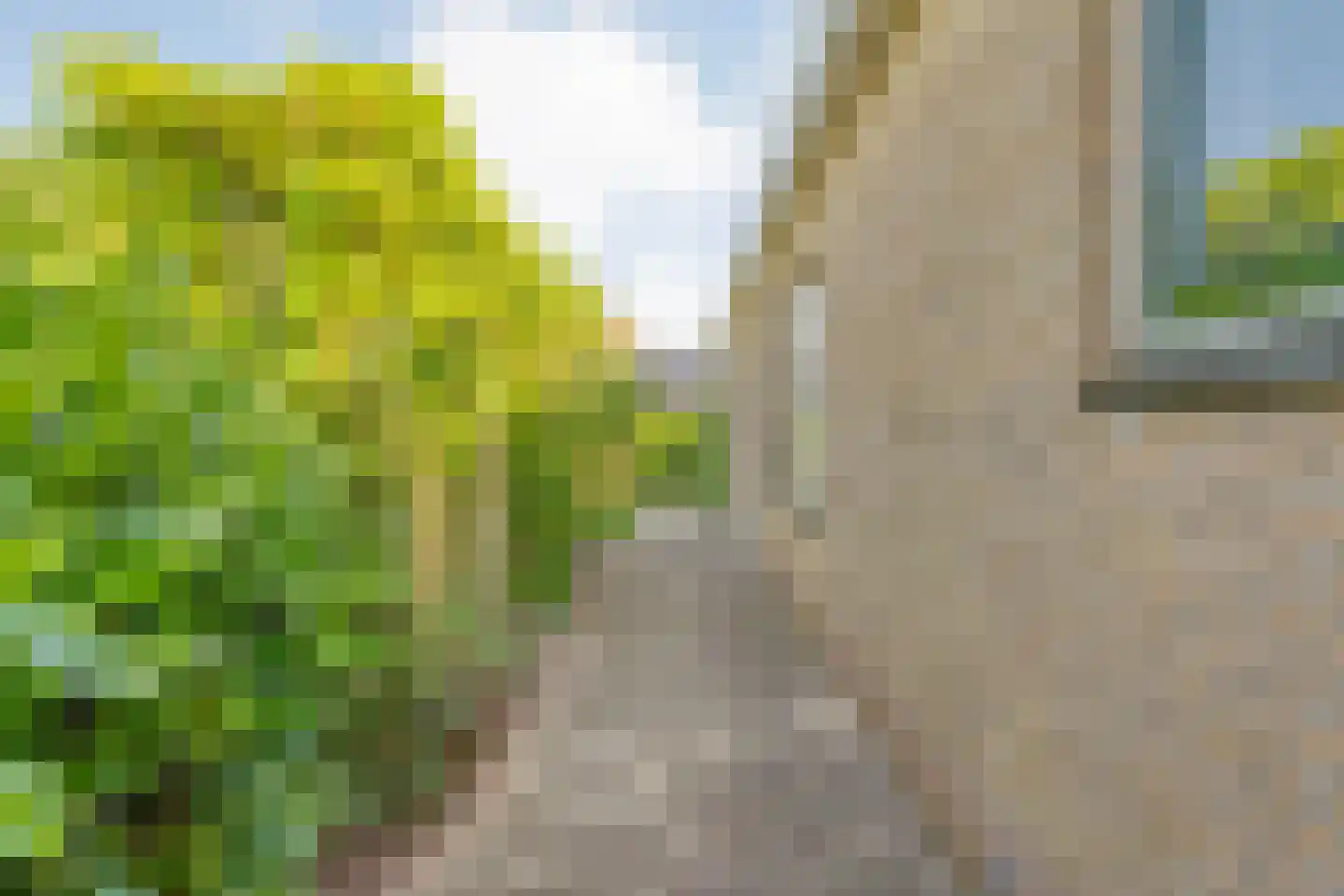 Oosterhesselerweg 18 Wachtum thumbnail 47