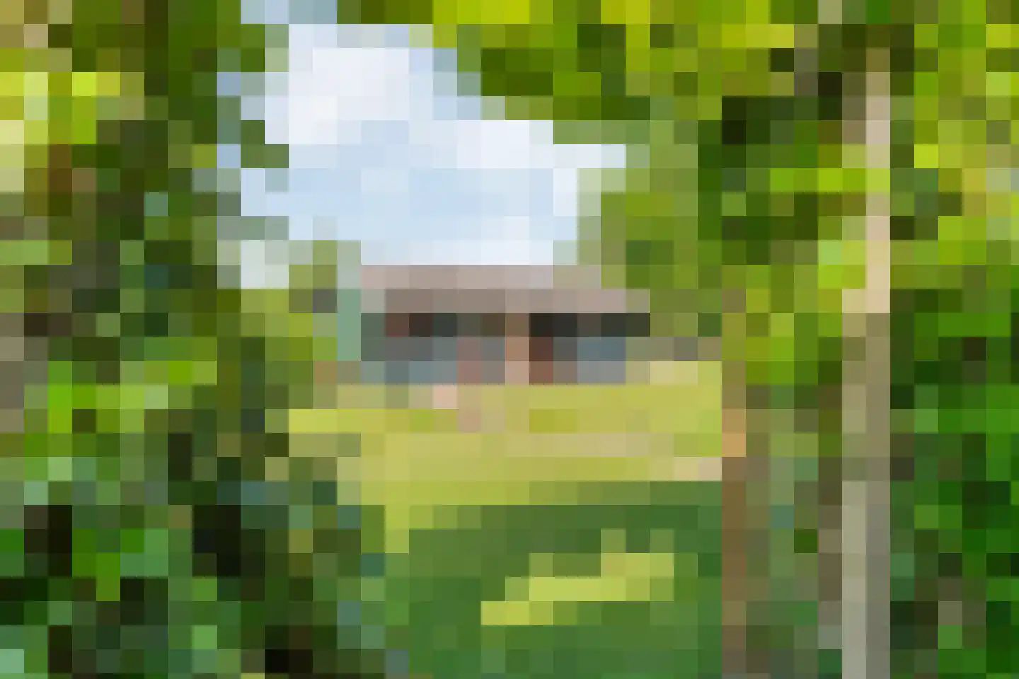 Oosterhesselerweg 18 Wachtum thumbnail 48