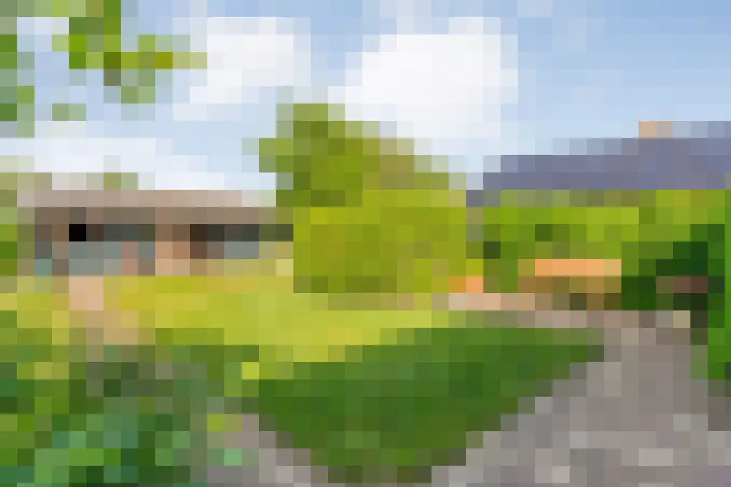 Oosterhesselerweg 18 Wachtum thumbnail 49