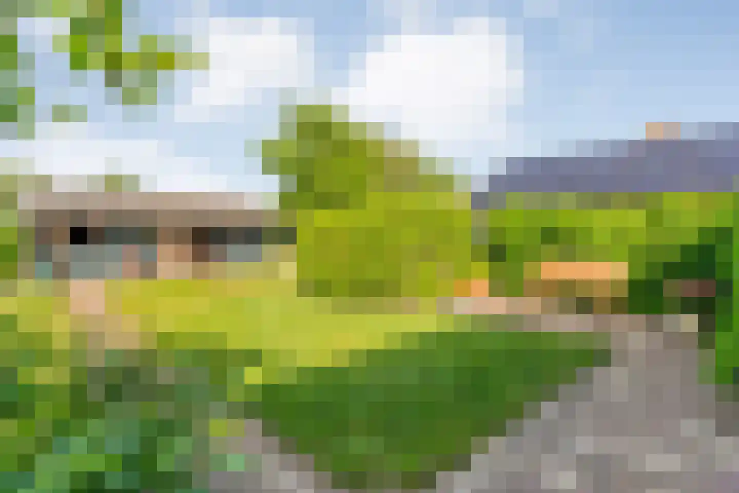 Oosterhesselerweg 18 Wachtum thumbnail 5