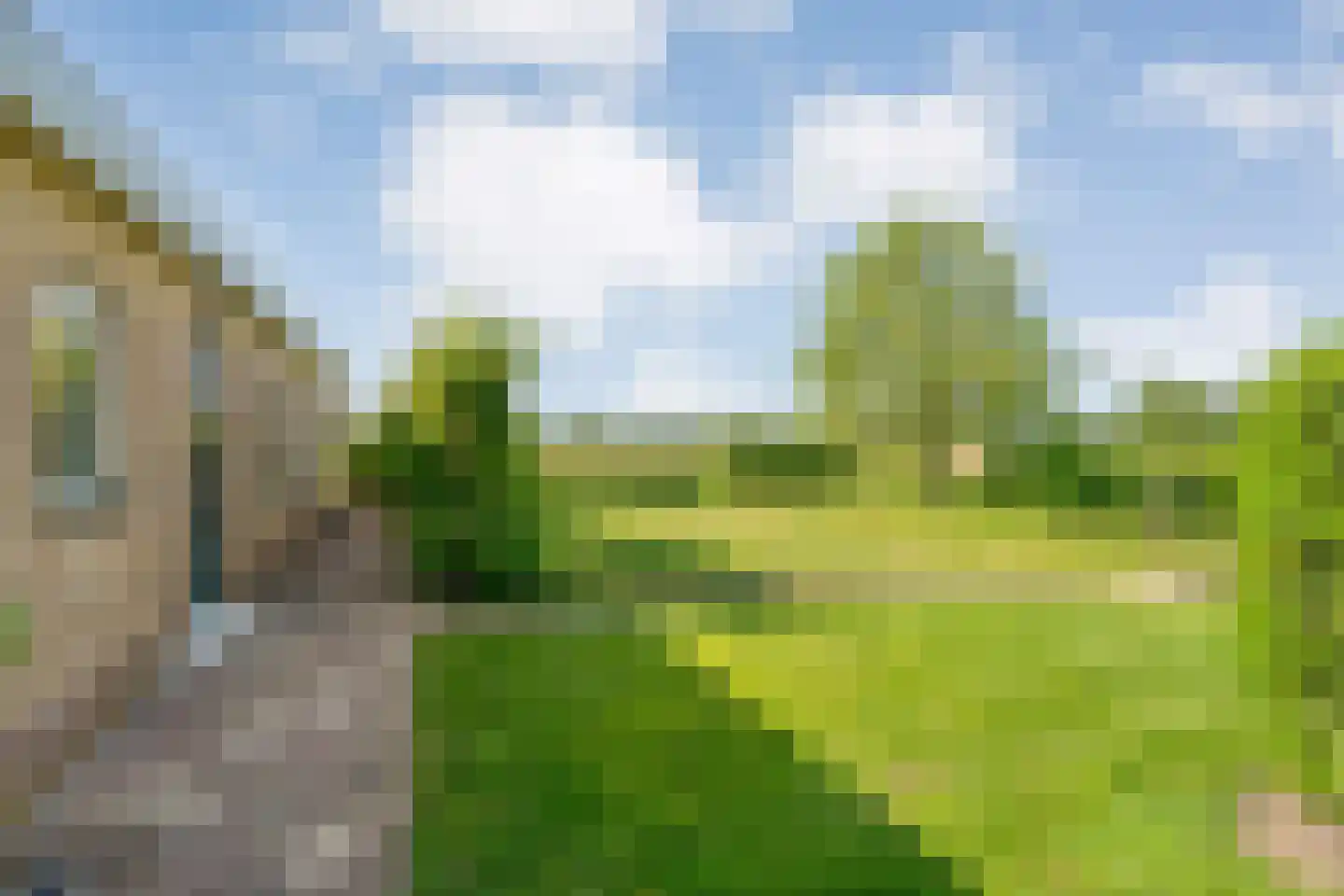 Oosterhesselerweg 18 Wachtum thumbnail 50