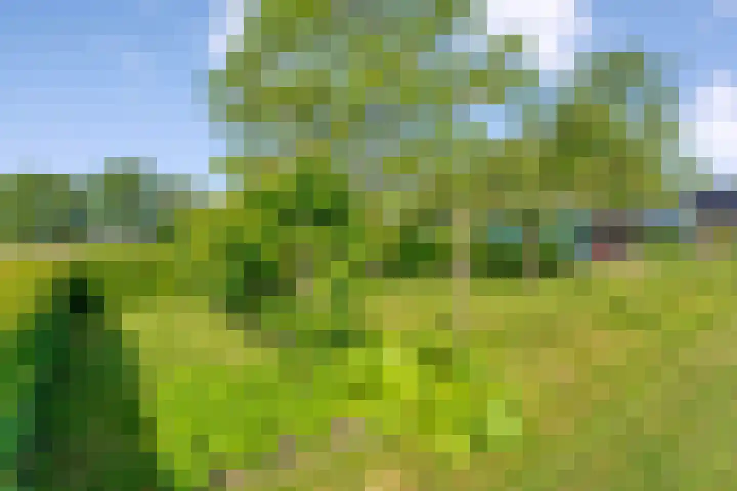 Oosterhesselerweg 18 Wachtum thumbnail 61