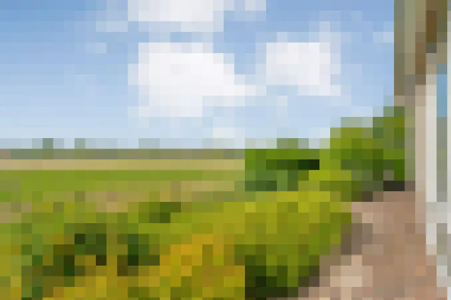 Oosterhesselerweg 18 Wachtum thumbnail 66