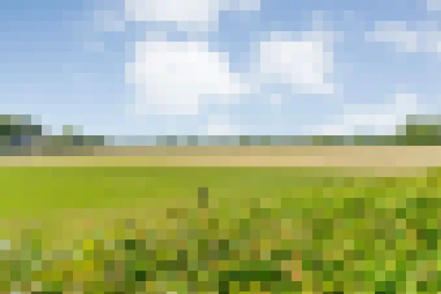 Oosterhesselerweg 18 Wachtum thumbnail 68