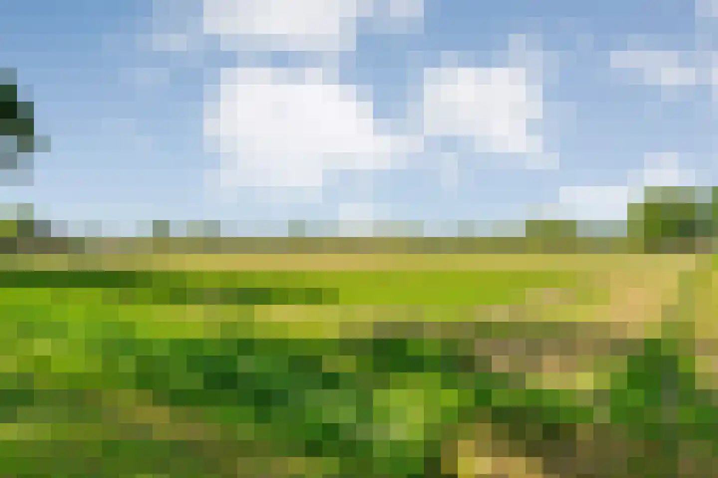 Oosterhesselerweg 18 Wachtum thumbnail 69