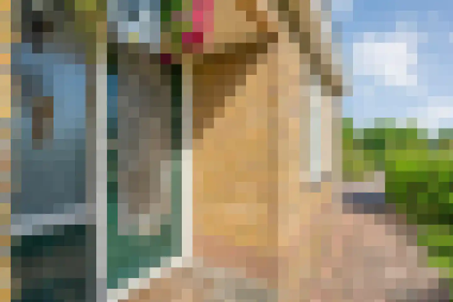 Oosterhesselerweg 18 Wachtum thumbnail 7