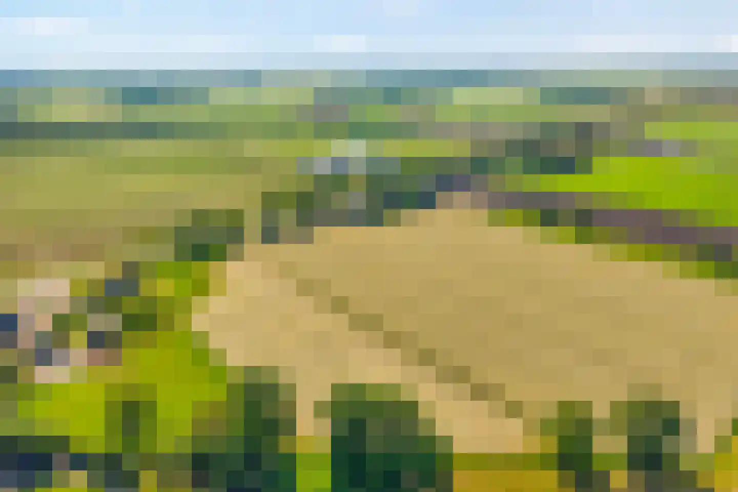Oosterhesselerweg 18 Wachtum thumbnail 75