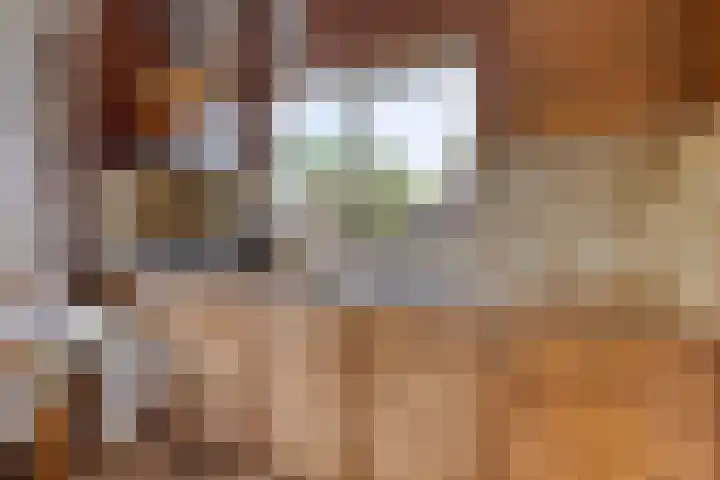 Oosterhesselerweg 9 Wachtum thumbnail 19