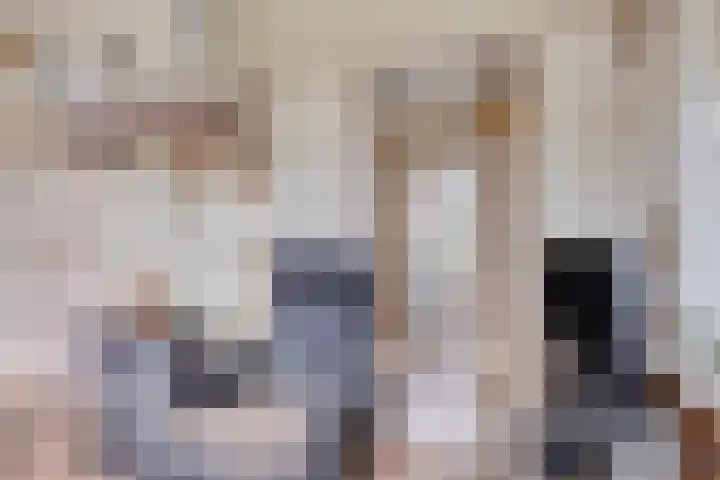 Oosterhesselerweg 9 Wachtum thumbnail 20