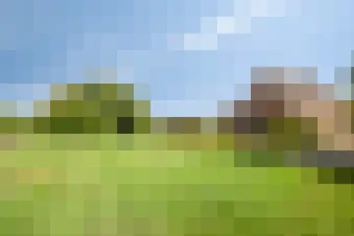Oosterhesselerweg 9 Wachtum thumbnail 29