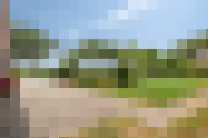 Oosterhesselerweg 9 Wachtum thumbnail 30