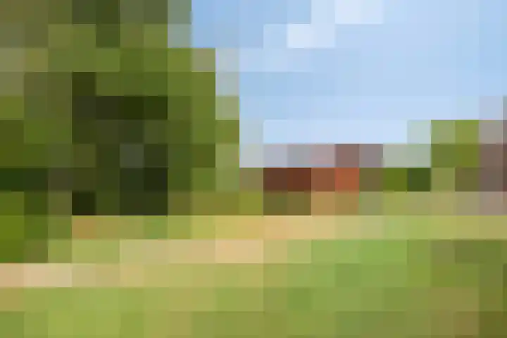 Oosterhesselerweg 9 Wachtum thumbnail 32