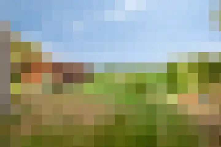 Oosterhesselerweg 9 Wachtum thumbnail 36