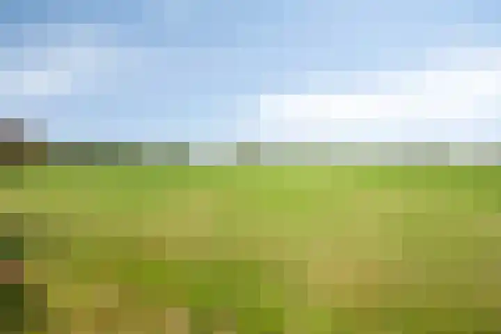 Oosterhesselerweg 9 Wachtum thumbnail 37