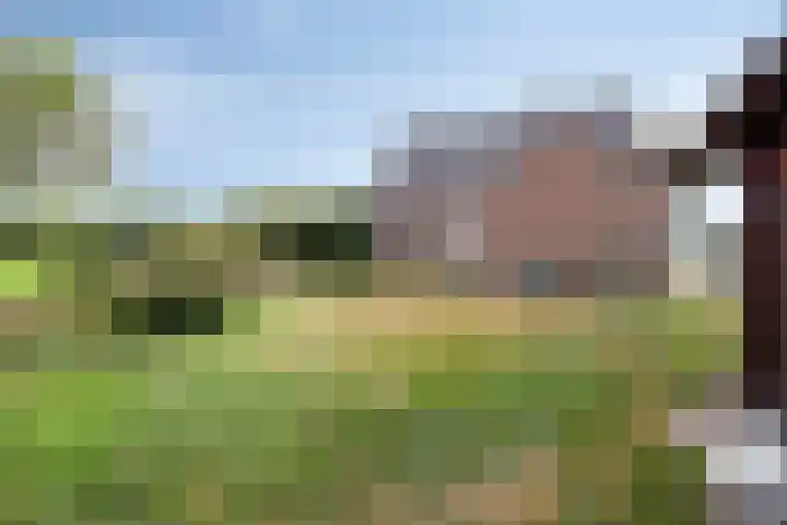 Oosterhesselerweg 9 Wachtum thumbnail 38