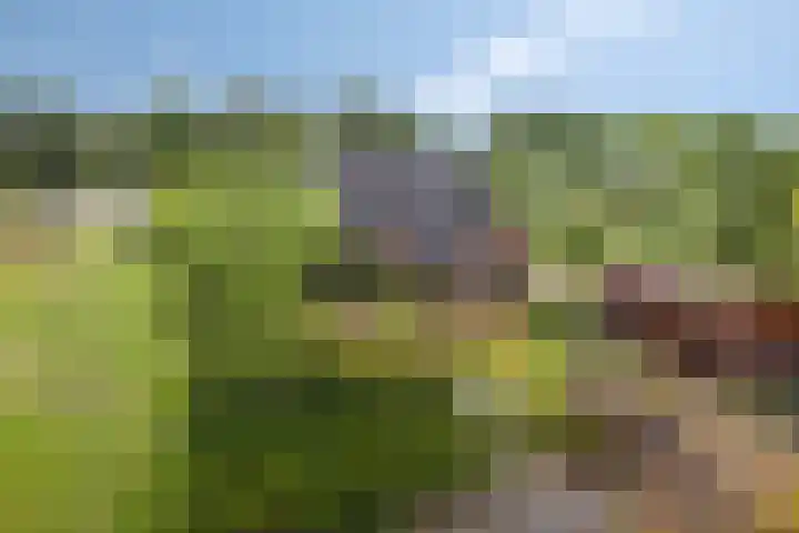 Oosterhesselerweg 9 Wachtum thumbnail 39