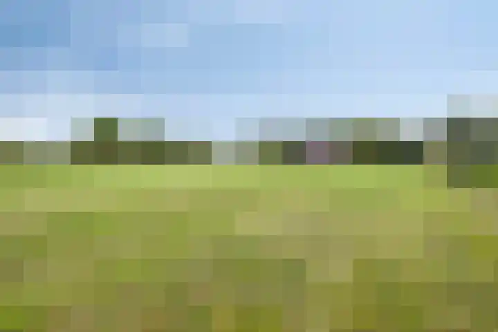 Oosterhesselerweg 9 Wachtum thumbnail 40