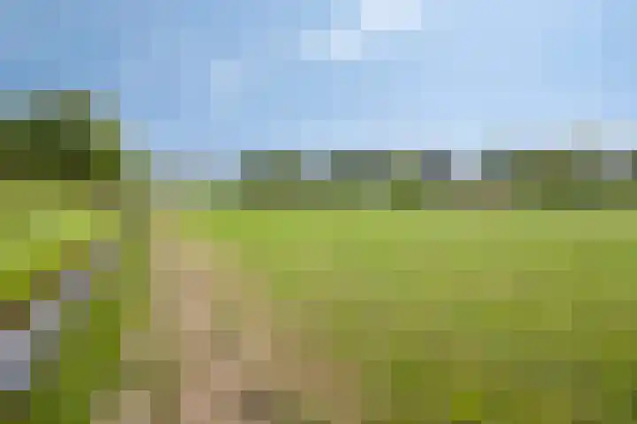 Oosterhesselerweg 9 Wachtum thumbnail 41