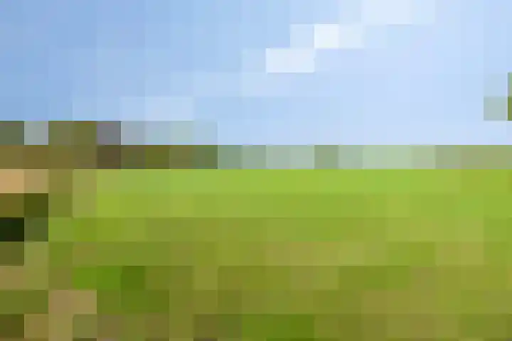 Oosterhesselerweg 9 Wachtum thumbnail 42