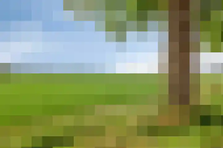 Oosterhesselerweg 9 Wachtum thumbnail 43