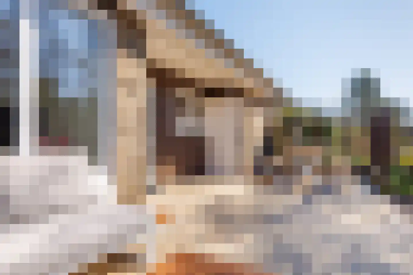 Oosterhiem 12 Hollum thumbnail 15