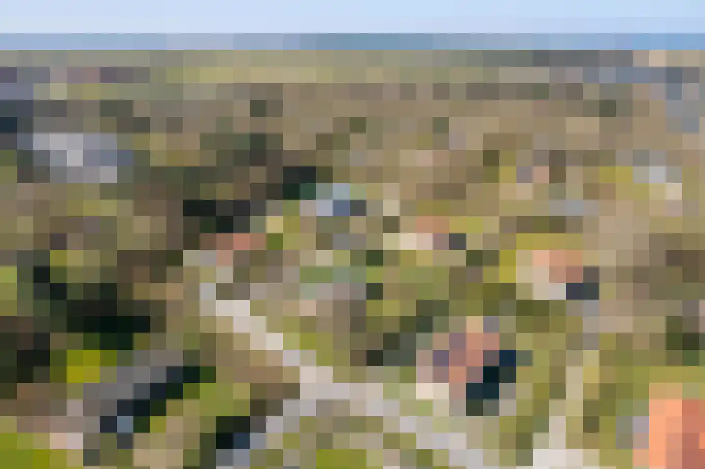 Oosterhiem 12 Hollum thumbnail 21