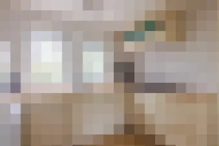 Oosterhiem 2 Hollum thumbnail 21