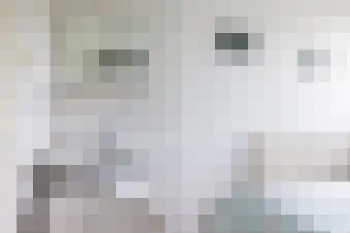 Oosterhiem 2 Hollum thumbnail 27