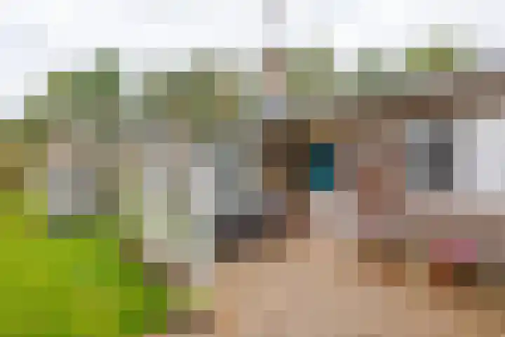 Oosterhiem 2 Hollum thumbnail 32