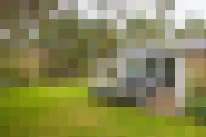 Oosterhiem 2 Hollum thumbnail 34