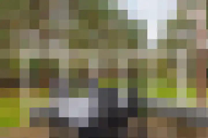 Oosterhiem 2 Hollum thumbnail 35