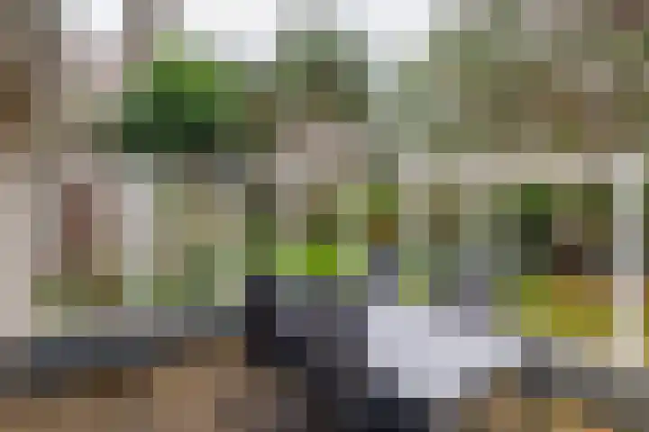 Oosterhiem 2 Hollum thumbnail 36