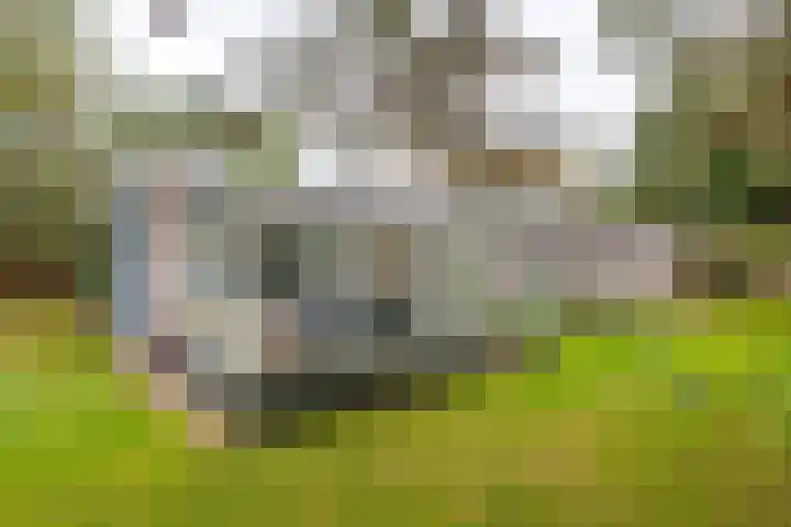 Oosterhiem 2 Hollum thumbnail 37