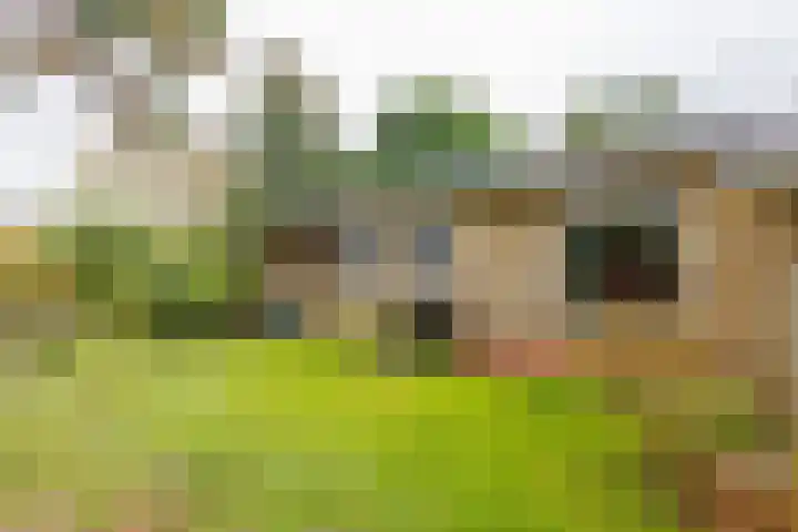 Oosterhiem 2 Hollum thumbnail 38