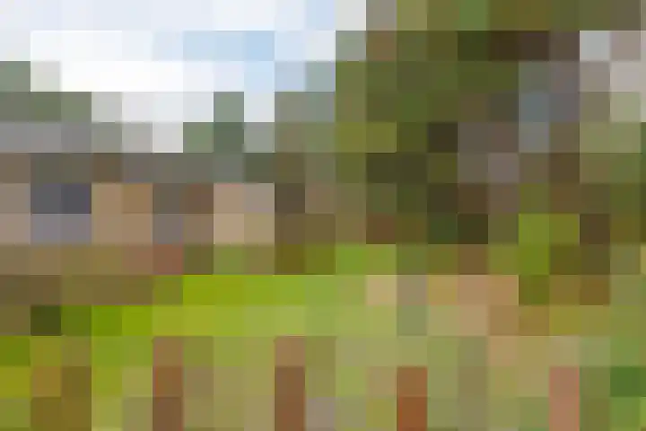 Oosterhiem 2 Hollum thumbnail 39
