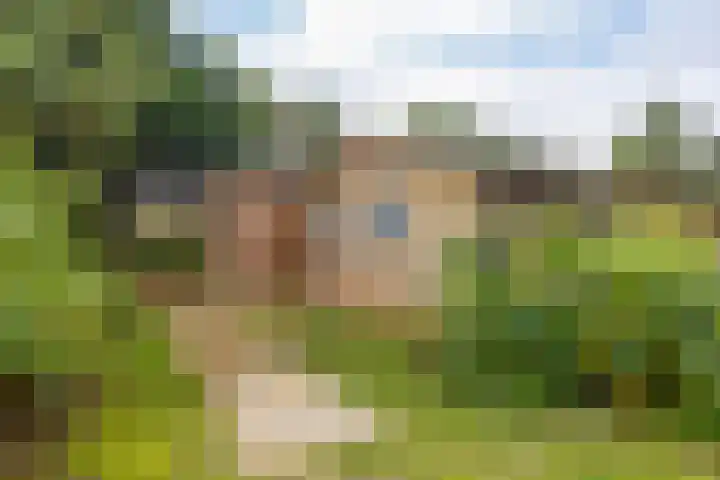 Oosterhiem 2 Hollum thumbnail 40