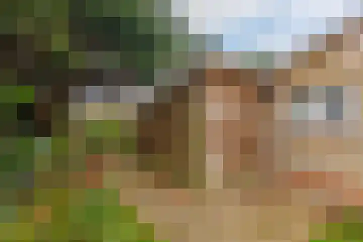 Oosterhiem 2 Hollum thumbnail 41