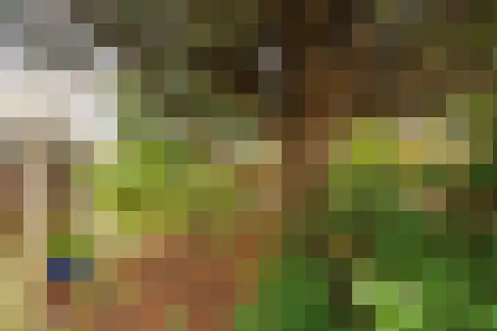 Oosterhiem 2 Hollum thumbnail 42