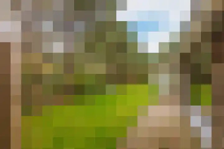 Oosterhiem 2 Hollum thumbnail 43