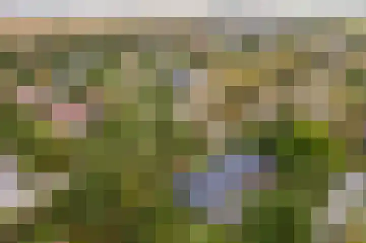 Oosterhiem 2 Hollum thumbnail 45