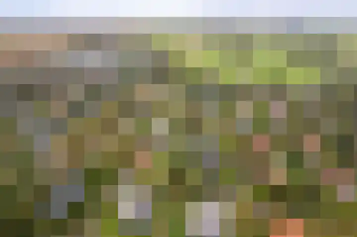 Oosterhiem 2 Hollum thumbnail 46