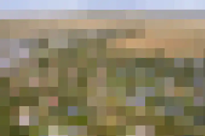 Oosterhiem 2 Hollum thumbnail 47