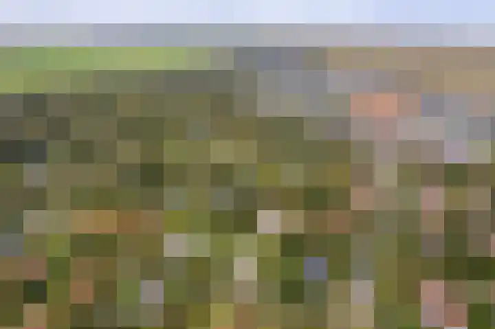 Oosterhiem 2 Hollum thumbnail 48